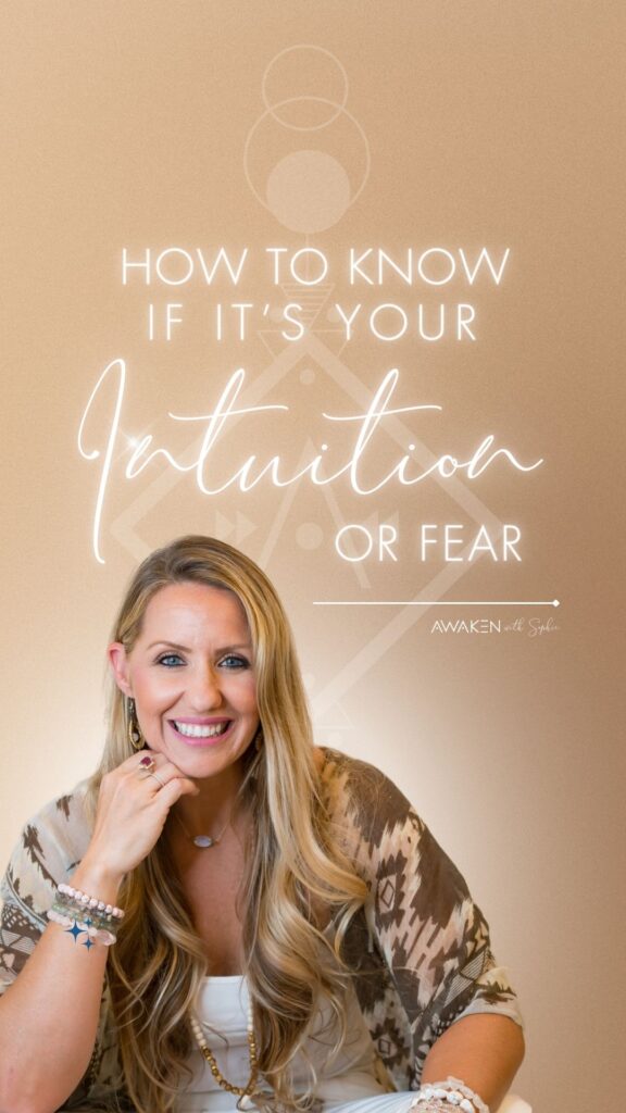 Intuition or Fear by Sophie Frabotta
